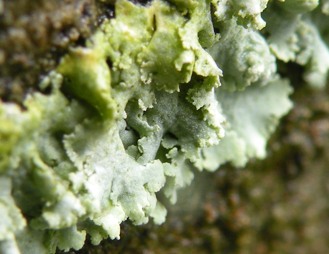 Visitando una abbazia gotica...